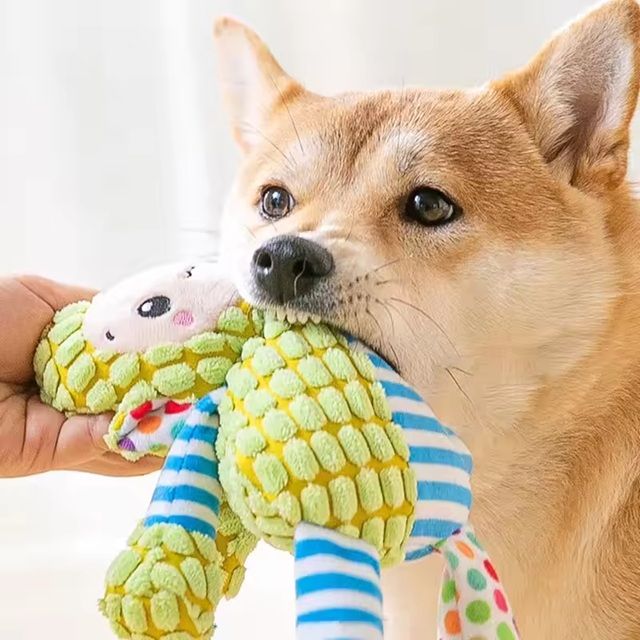 Pet Toys
