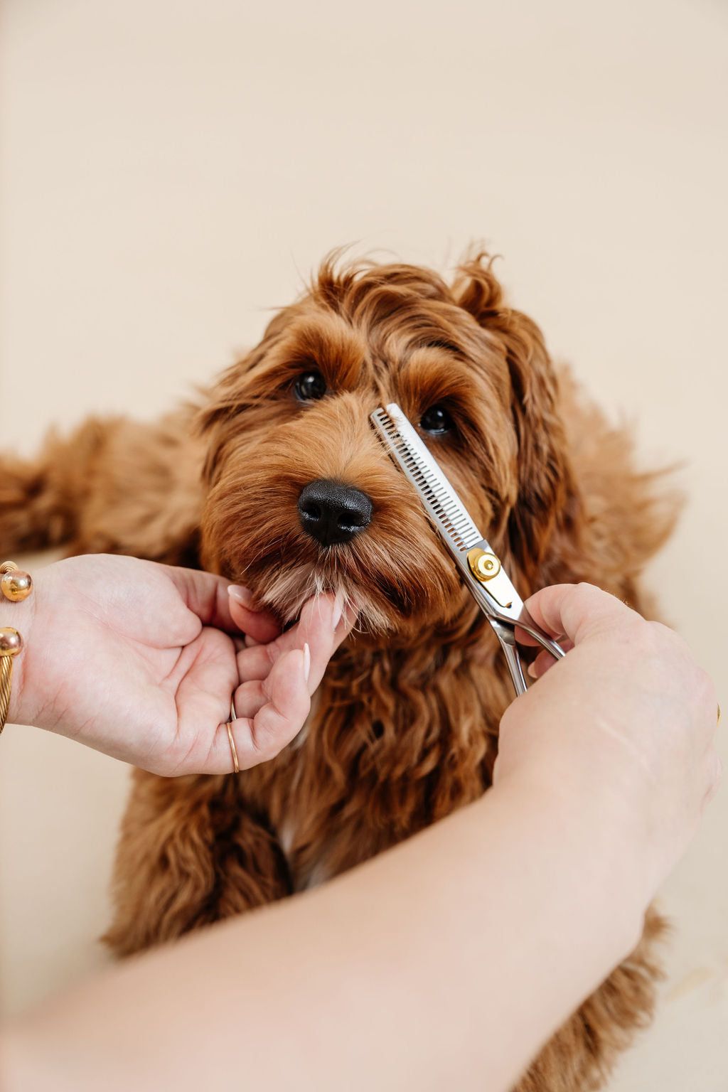 Grooming And Care